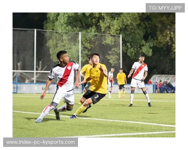 球员语言训练：多语种交流如何提升球队协同？